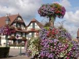 la fontaine WOLFISHEIM Bas-Rhin