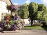 la fontaine WOLFISHEIM Bas-Rhin