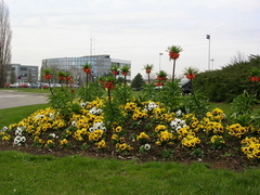 rond-point