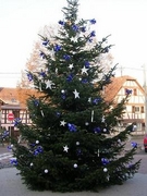 sapin Mairie