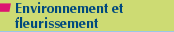 Environnement et fleurissement