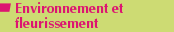 Environnement et fleurissement