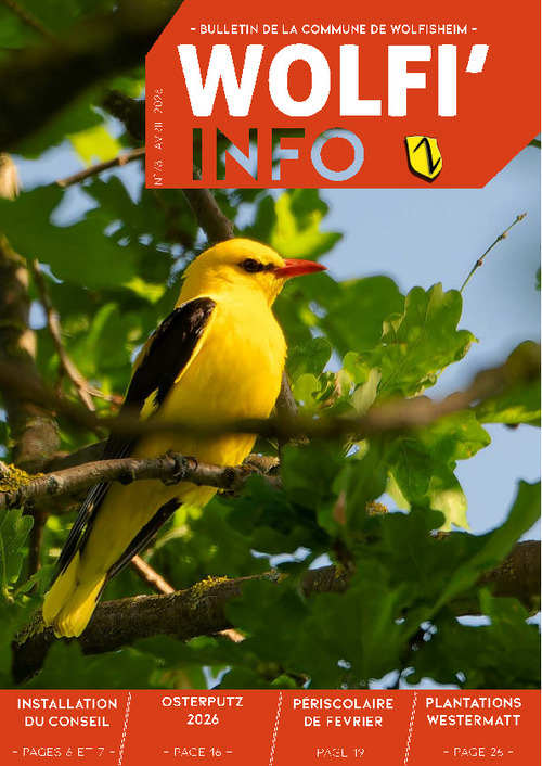 WOLFI INFO N°78 AVRIL 2026