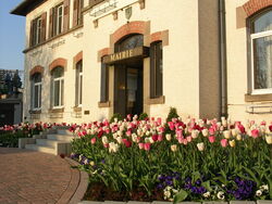 Mairie de Wolfisheim en Alsace Mairie de Wolfisheim en Alsace